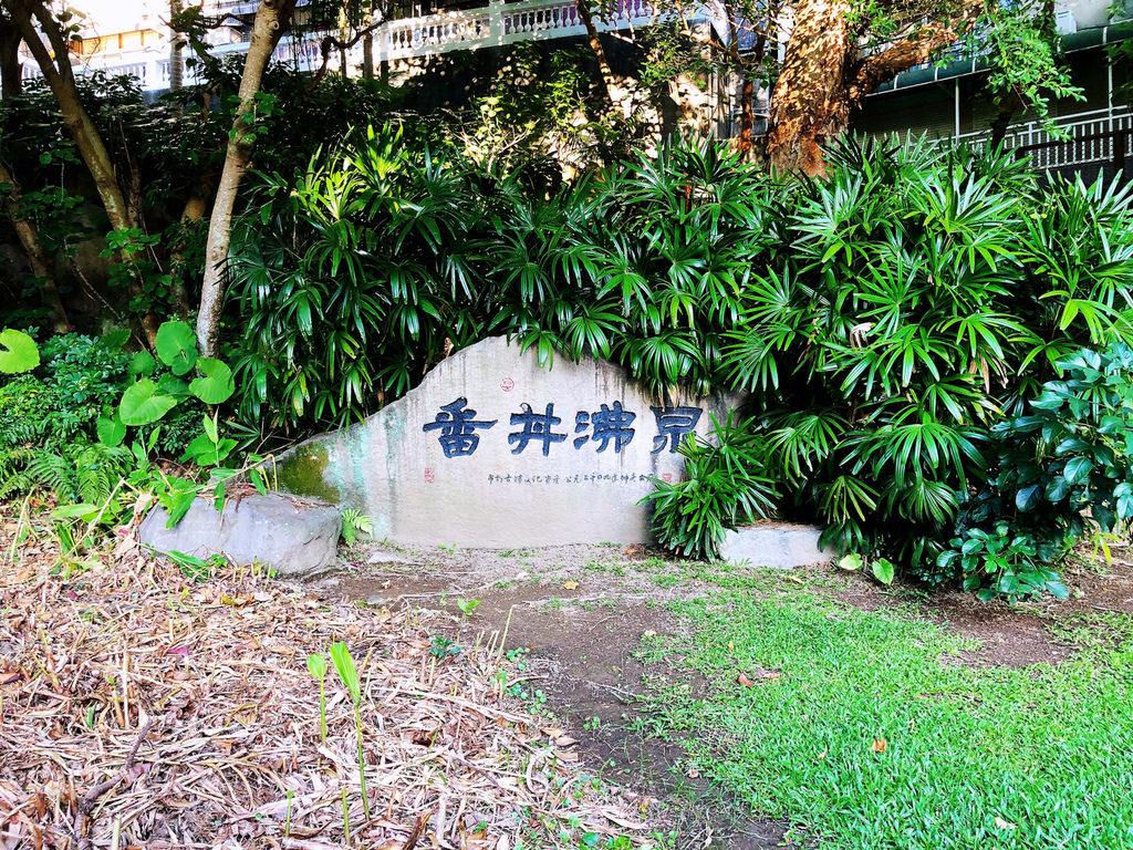 天和公園 番丼沸泉