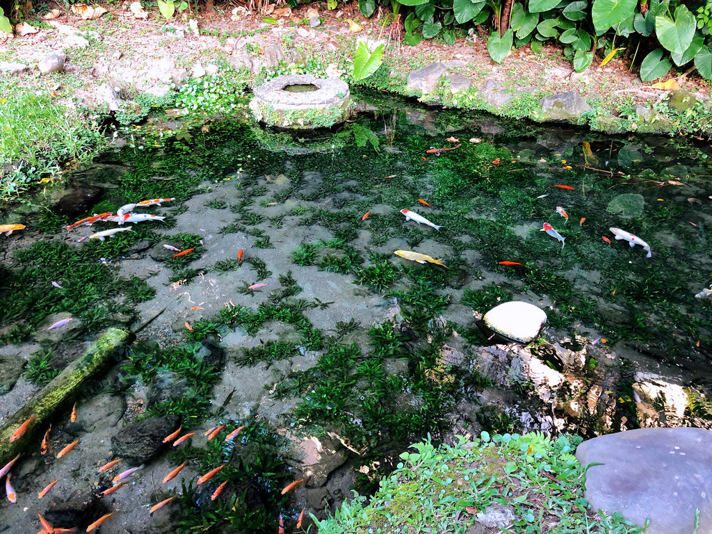 天河公園 番丼沸泉