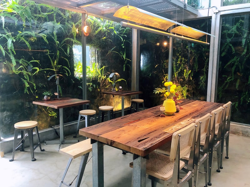微光森林Twilight Cafe