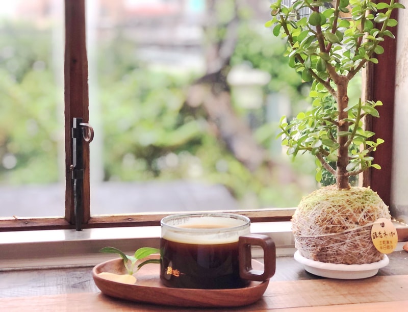 微光森林Twilight Cafe 萃取熱黑咖啡
